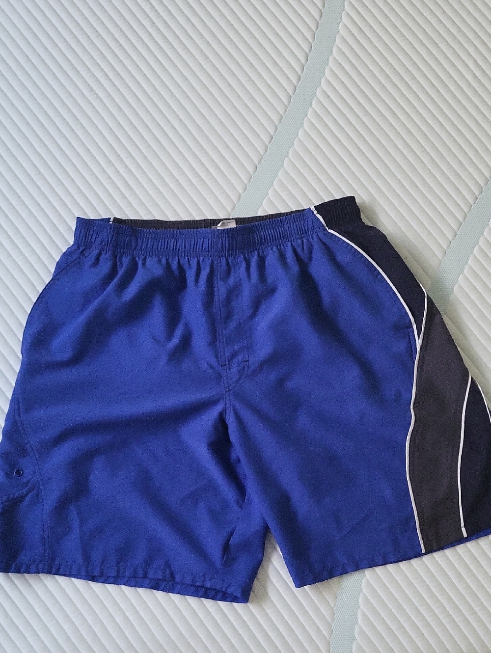 Speedo Royal Blue Mesh Swim Shorts with Black Waistband